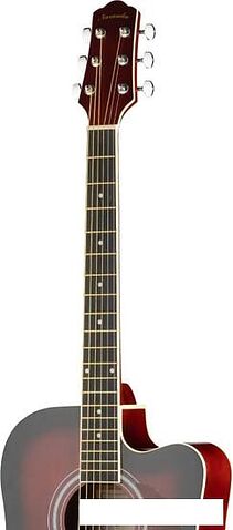 Акустическая гитара Naranda DG120CWRS