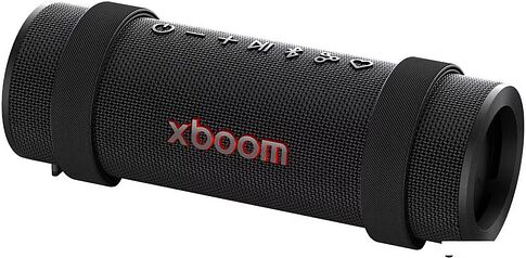 Беспроводная колонка LG XBOOM Grab