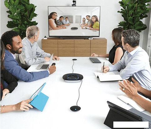 Микрофон Logitech Group Expansion Microphones [989-000171]