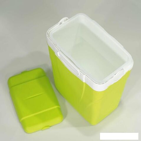 Термобокс Picnic Antarctica 12л (зеленый/киви)