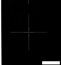 Варочная панель Konigin Draco C604 SBK