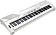 Цифровое пианино Kurzweil KA90 (белый)