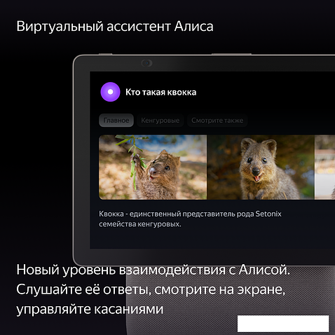 Колонка с умным дисплеем Яндекс Станция Дуо Макс (бежевый)