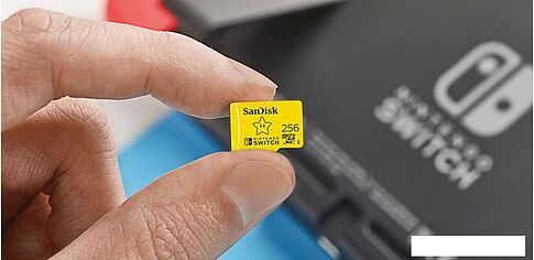 Карта памяти SanDisk For Nintendo Switch microSDXC SDSQXAO-256G-GN3ZN 256GB