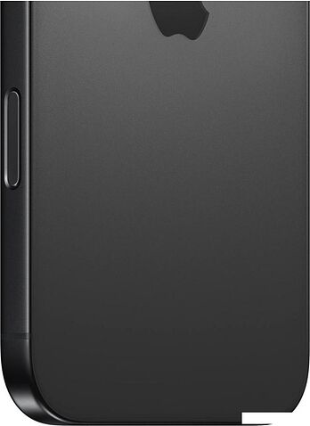 Смартфон Apple iPhone 16 Pro Max Dual SIM 256GB (черный титан)