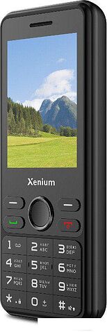 Телефон Xenium X280 (черный)