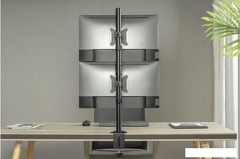 Кронштейн ErgoSmart Double Decker