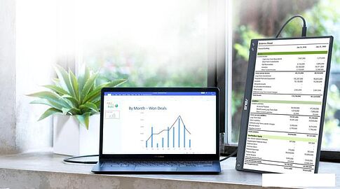 Монитор ASUS MB16ACV