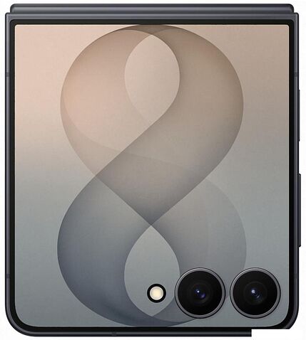 Телефон Samsung Galaxy Z Flip8 SM-F776B 12GB/256GB (серый)