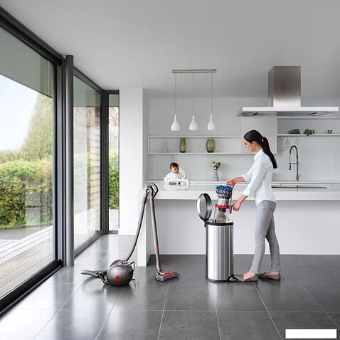 Пылесос Dyson Cinetic Big Ball Absolute 2 447250-01