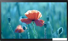 Интерактивная панель Samsung QB24R-T