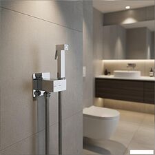 Гигиенический душ Lauter Rainix 21LT7711CH