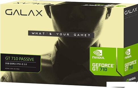 Видеокарта KFA2 Geforce GT 710 Passive 2GB DDR3 71GPF4HI00GK