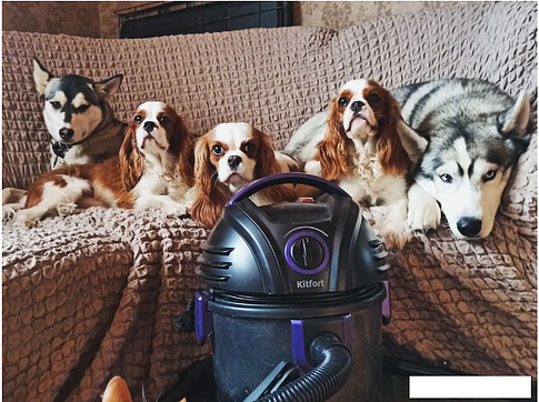 Пылесос Kitfort KT-5144
