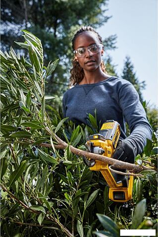 Секатор DeWalt DCMPP568P1 (с 1-им АКБ)