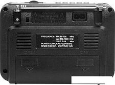 Радиоприемник Ritmix RPR-171