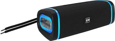 Беспроводная колонка Soundmax SM-PS5019B (черный)