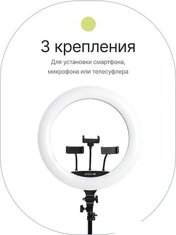 Кольцевая лампа Raylab RL-0118 Kit