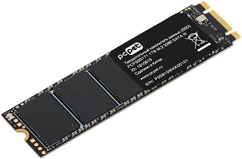 SSD PC Pet 1TB PCPS001T1