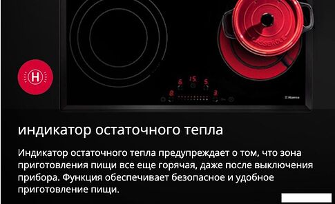 Варочная панель Hansa BHC36188