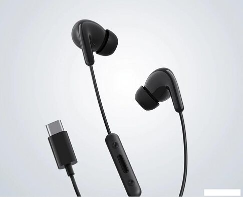 Наушники Xiaomi Type-C Earphones M2413E1 (черный, международная версия)