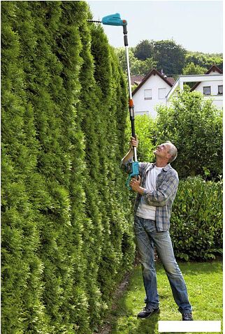 Кусторез Gardena THS 42/18V P4A (без АКБ)