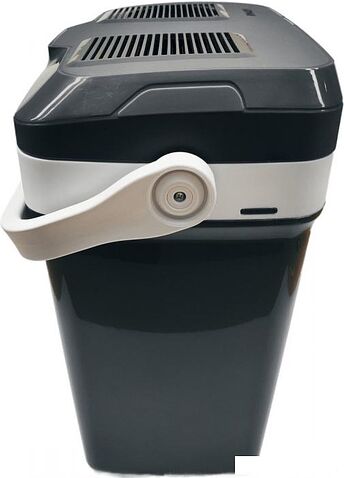 Термоэлектрический автохолодильник Artway AH21L 21л (черный)