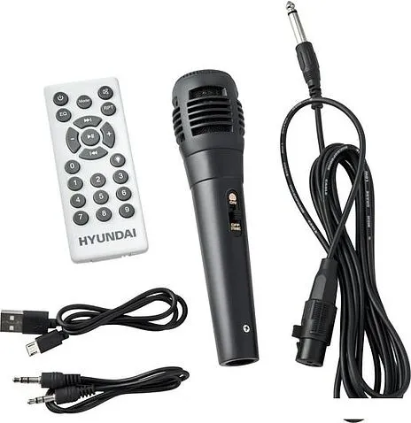 Беспроводная колонка Hyundai H-MC1220