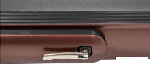 Электрическая беговая дорожка Titanium Masters Slimtech C20 (коричневый)