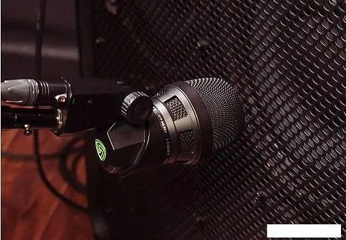 Микрофон Lewitt DTP 340 Rex