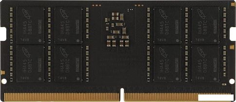 Оперативная память KingSpec 32ГБ DDR5 SODIMM 5200 МГц KS4800D5N11032G