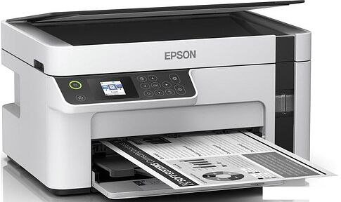МФУ Epson M2120