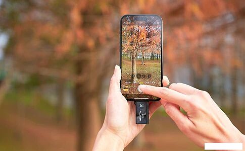 Внешний накопитель ADATA SC730 1TB SC730-1T-CACTI