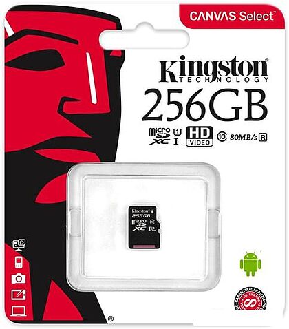 Карта памяти Kingston Canvas Select SDCS/256GBSP microSDXC 256GB