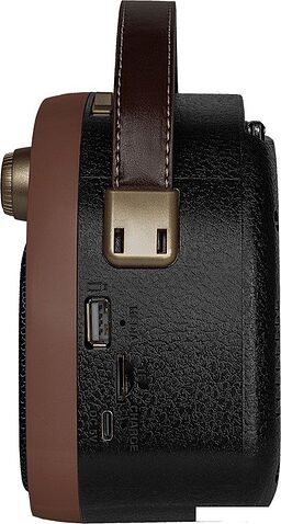 Радиоприемник Ritmix RPR-040 (шоколадный)