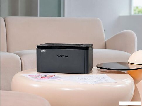 Принтер Pantum BP2302W