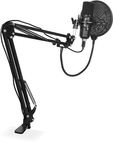 Микрофон SunWind SW-SM400G