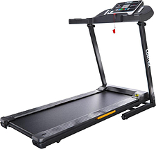 Электрическая беговая дорожка DFC Longtek T-X510G