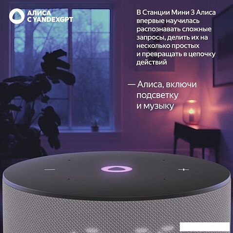 Умная колонка Яндекс Станция Мини 3 с часами (серый)