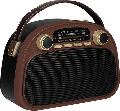 Радиоприемник Ritmix RPR-040 (шоколадный)