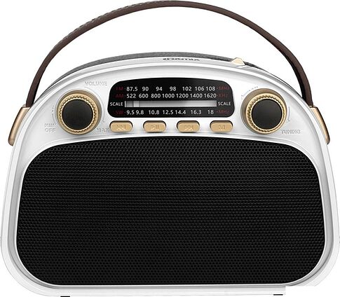 Радиоприемник Ritmix RPR-040 (белый)