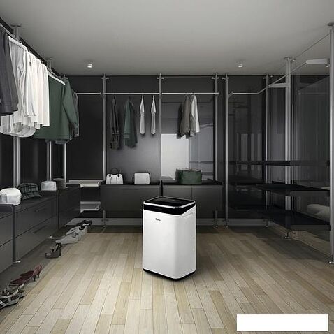 Осушитель воздуха Ballu BD25ER (белый)