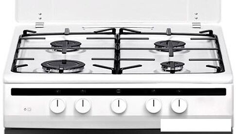 Кухонная плита Hansa FCGW61000