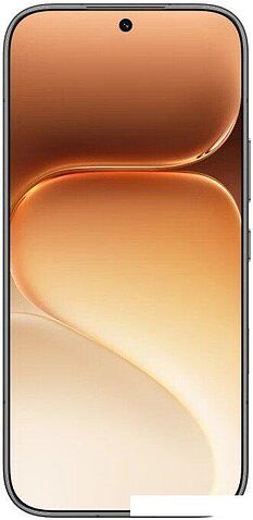 Телефон HONOR 600 Pro Dual SIM 12GB/512GB международная версия (черный)