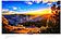 Телевизор ASANO 32LH7011T