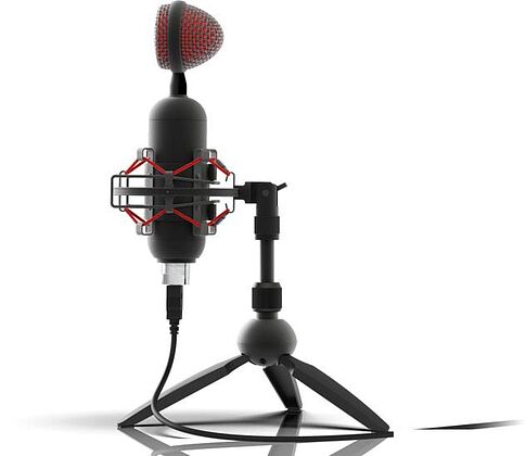 Микрофон Ritmix RDM-230 USB Eloquence