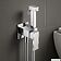 Гигиенический душ Lauter Rinse 21GN4051CH