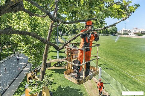 Бензопила Husqvarna T435