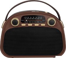 Радиоприемник Ritmix RPR-040 (шоколадный)