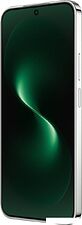 Телефон Huawei nova 15 PSN-LX9 Dual SIM 12GB/256GB (мятный, международная версия)